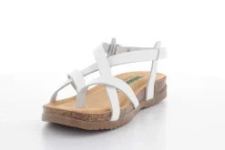 BioNatura 34 A 2005 By Cast^Woman Woman Summer