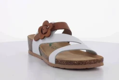 BioNatura 12 A 2038 Gaucho Oil^Woman Woman Summer