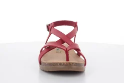 BioNatura 34 A 2005 Gaucho Oil^Woman Woman Summer