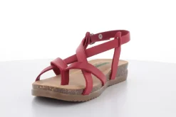 BioNatura 34 A 2005 Gaucho Oil^Woman Woman Summer