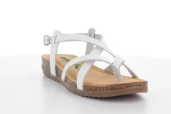 BioNatura 34 A 2005 Imb By Cast^Woman Woman Summer