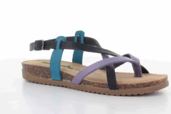 BioNatura 34 A 2005 Imb Gaucho Oil^Woman Woman Summer